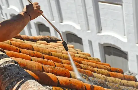 Nettoyage de toitures - Fleury